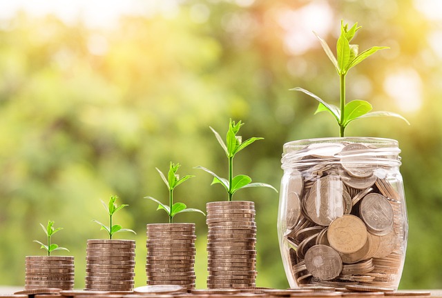 Stacks of coins with growing plants and a jar filled with coins, symbolizing savings, financial growth, and building an emergency fund